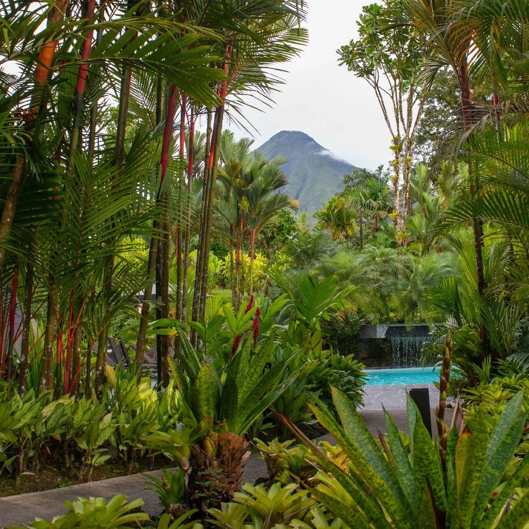 Cradled in lush rainforest at the foot of Arenal Volcano, Tabac&oacute;n Thermal Resort and Spa feels like a secret garden where hot springs, hummingbirds and misty peaks create a dreamlike escape for every guest.
@tabaconresort