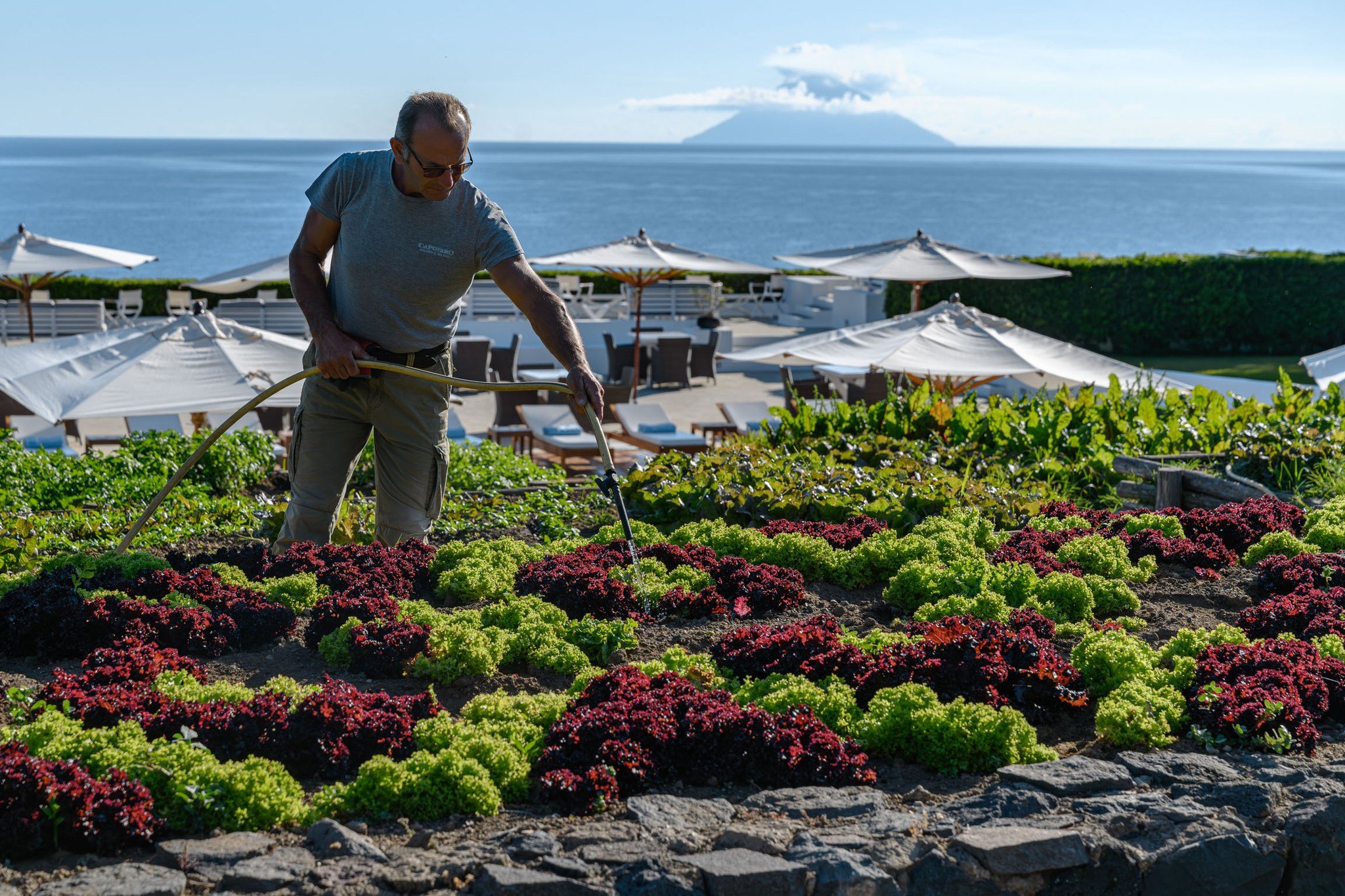 Nurturing nature for the short journey to creative cooking at Capofaro Resort on the breathtaking island of Salina.

@capofaro