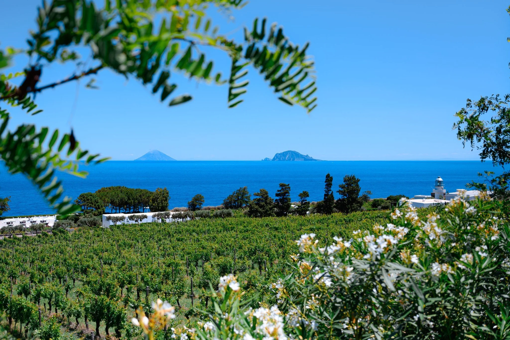 Gazing from Capofaro Resort across the Tyrrhenian Sea towards the smoking silhouette of Stromboli, the island of Salina is known for its lush volcanic landscape and quaint villages.

@capofaro