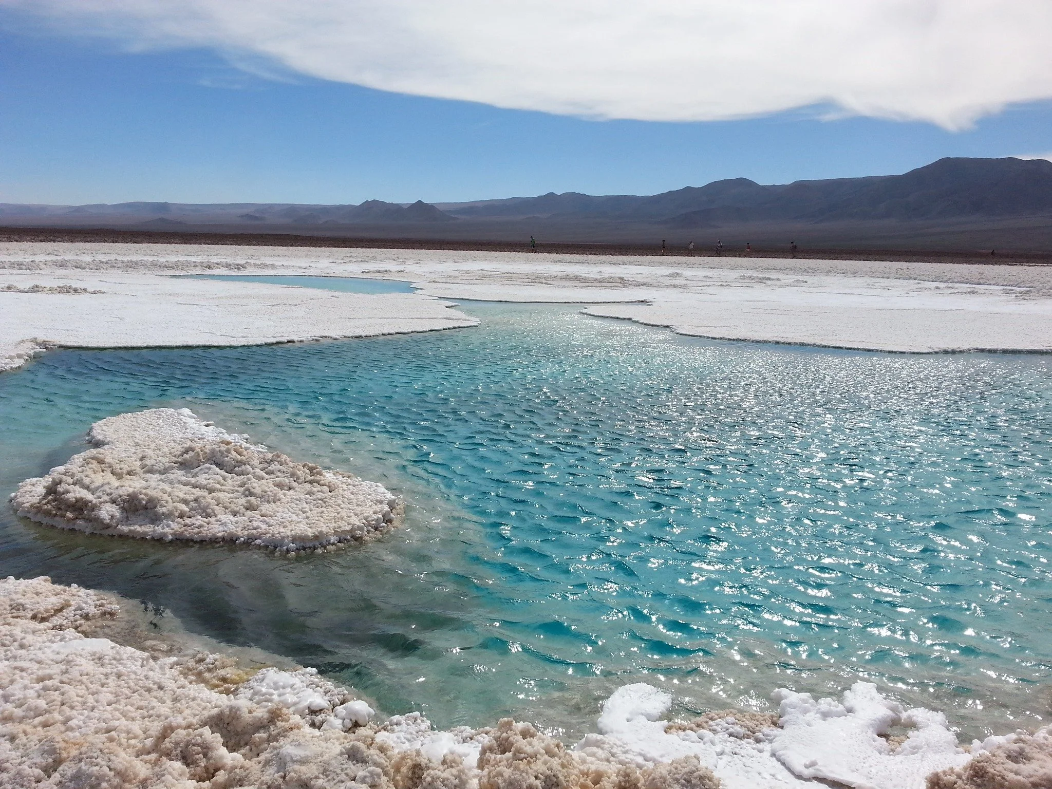 Avila Experience turns a visit to the hidden lagoons of Baltinache into a slow, cinematic journey across the Atacama. 

@avilaexperiencetravel