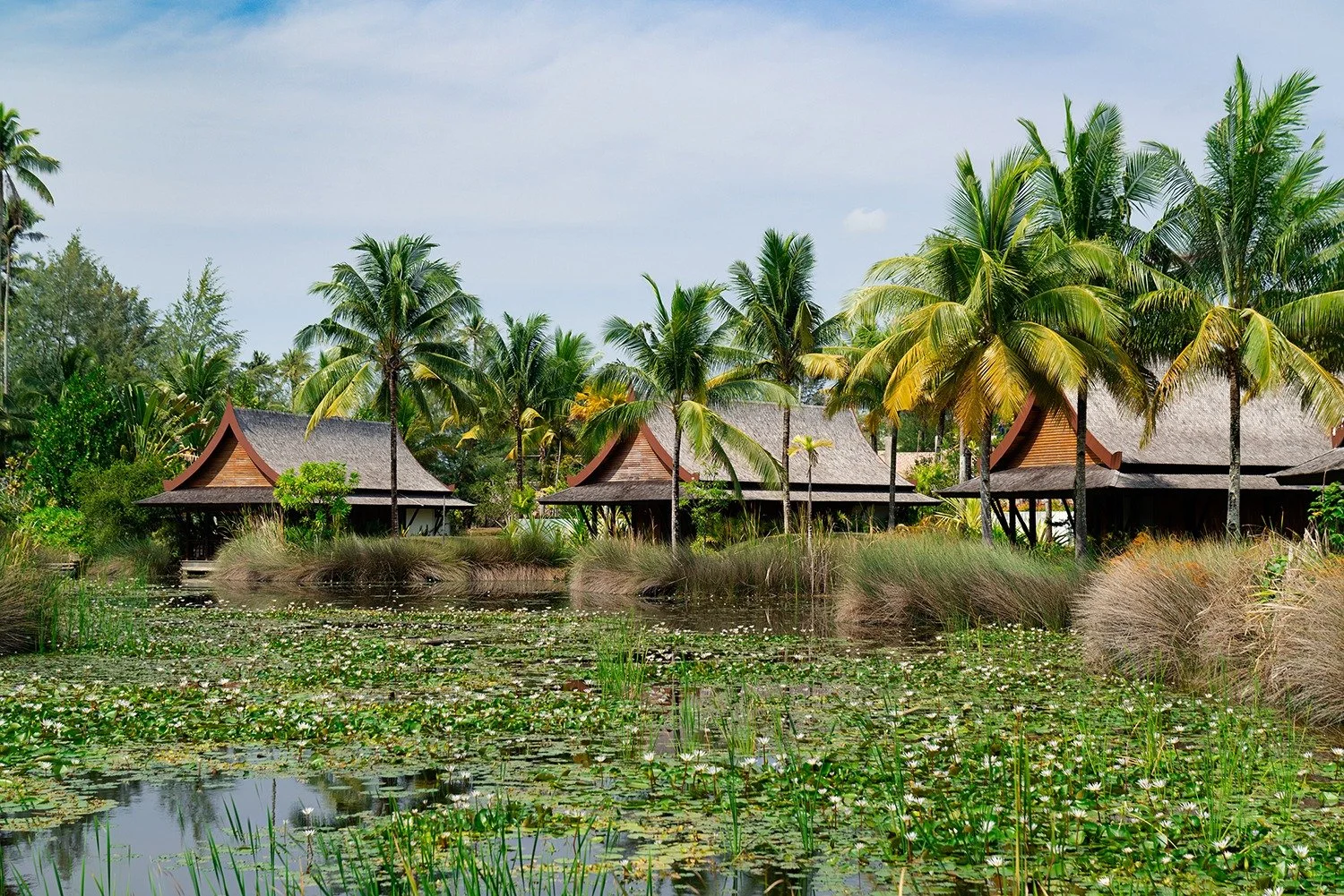 Step into the peaceful garden setting of the Thai Lawan Villas at The Sanchaya, where tropical beauty and refined design create a truly serene island escape.

@thesanchaya