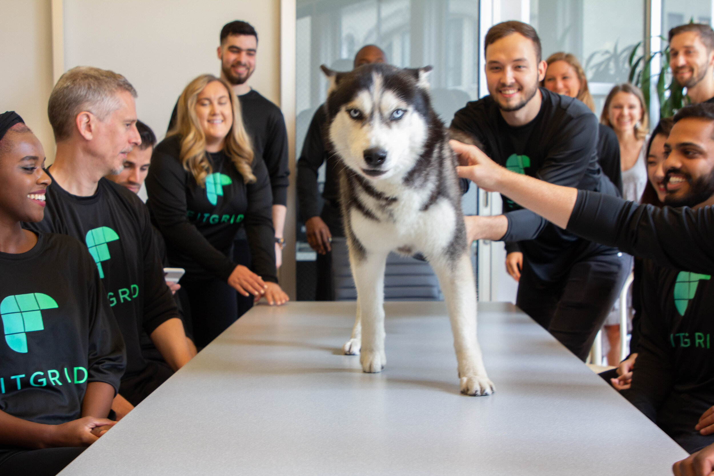 team smiling petting dog oswald.jpg