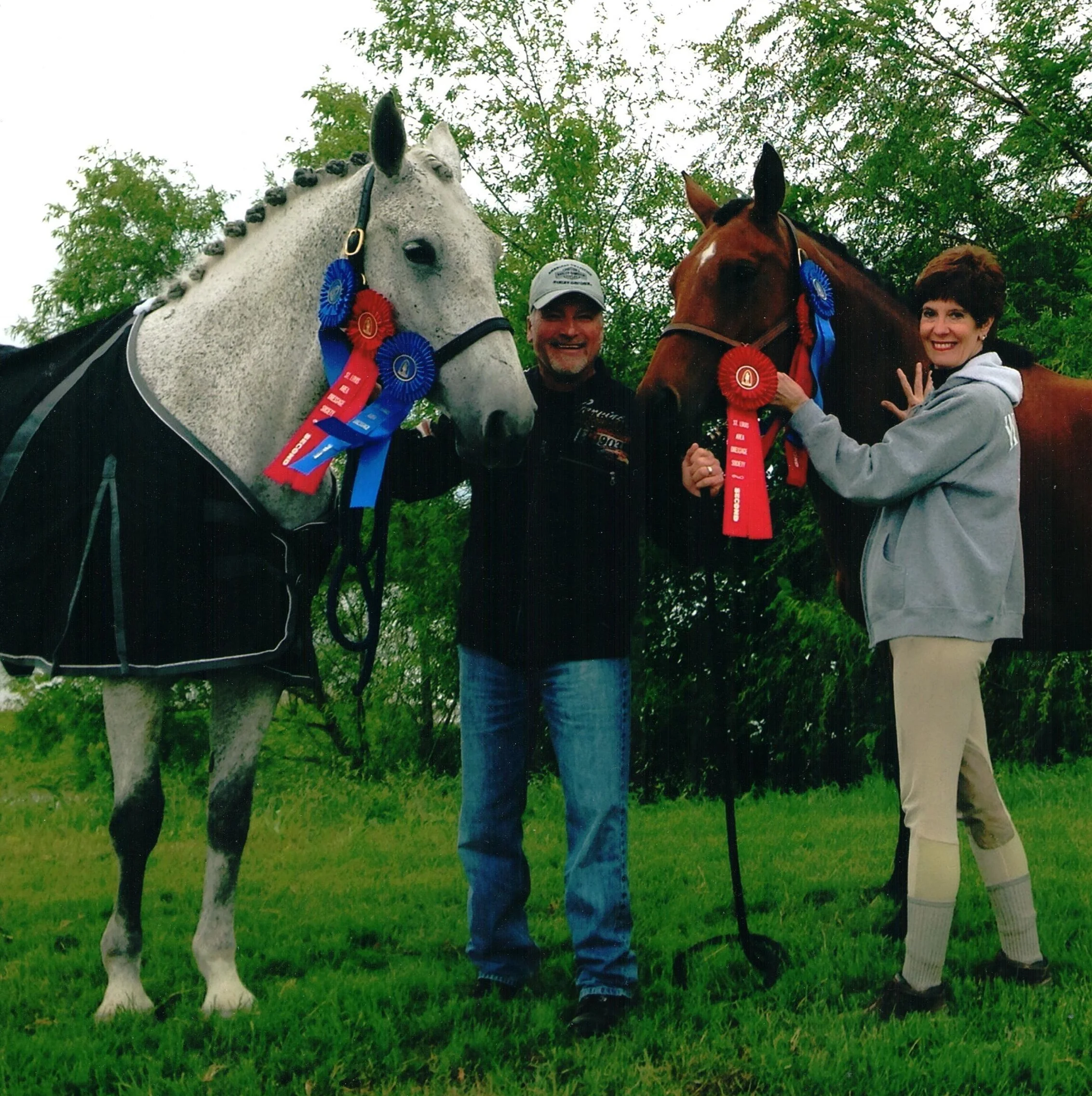 winning+horse.jpg