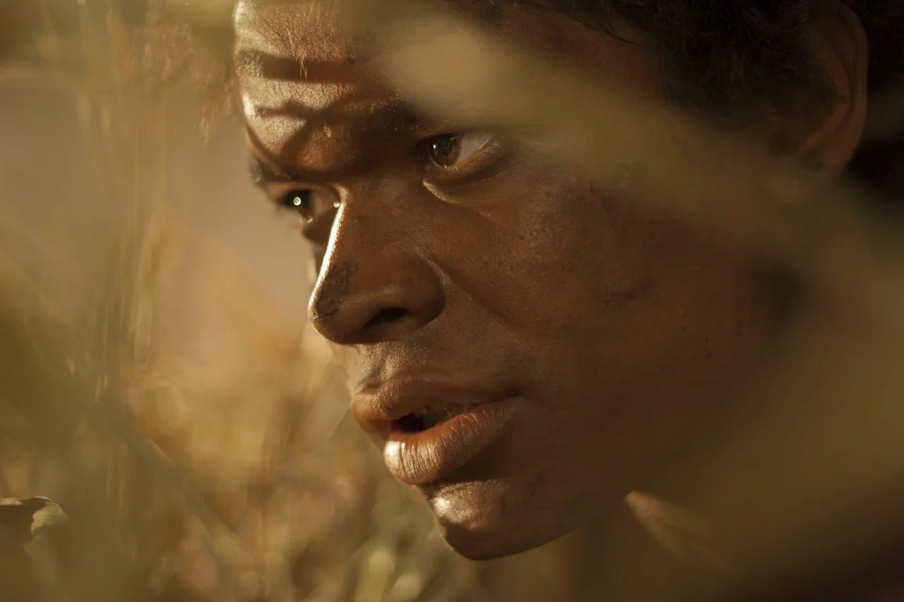 1264(15-12-2008).jpg