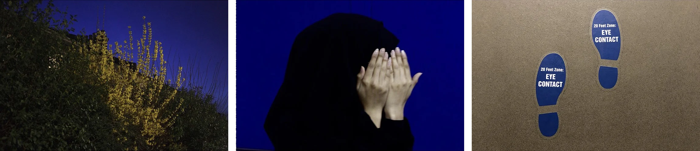 Eyes without a face