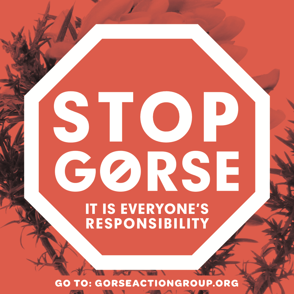 stop gorse.png
