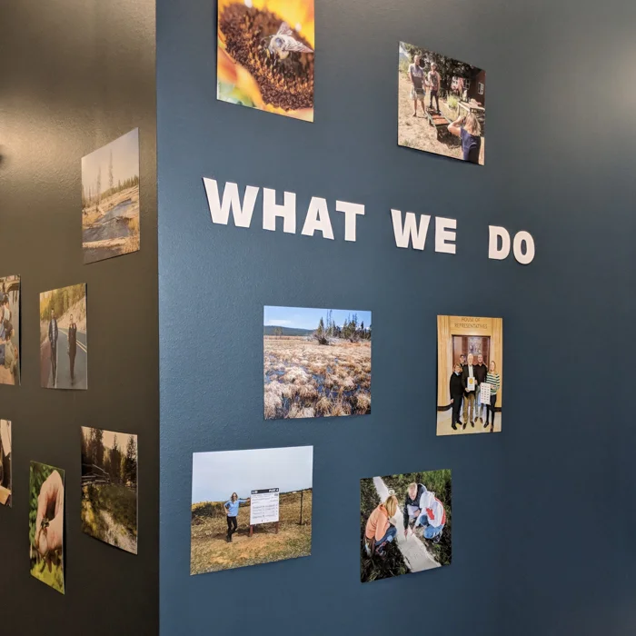 A snapshot of what we do We work closely with our client teams to develop a successful project and showcase the work with professional photography!