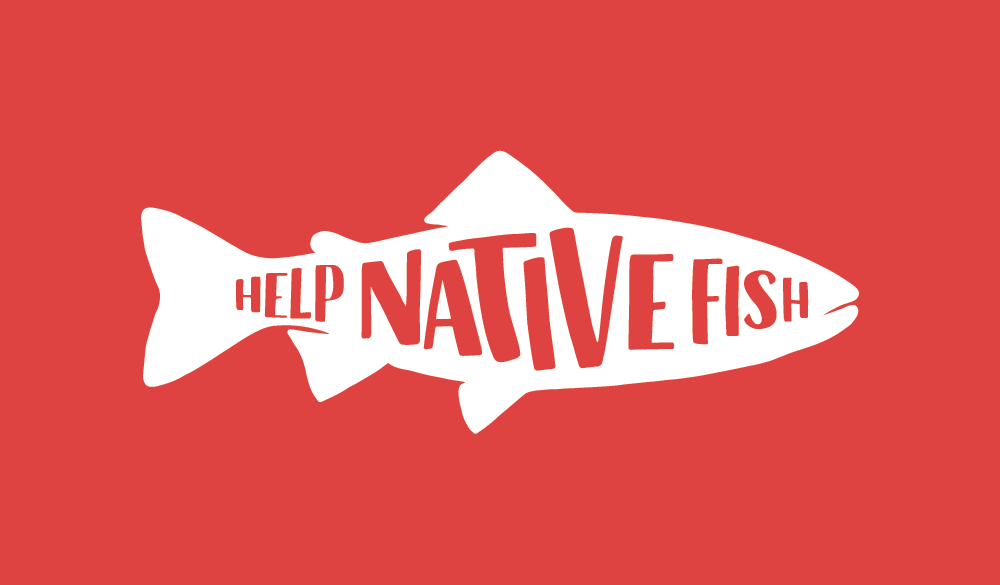 trout-new-logo-for-web.png