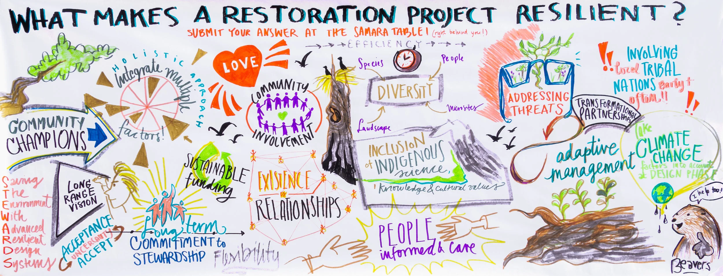 Society for Ecological Restoration and Society for Wetland Scientists’ conference attendees answer the question “What makes a restoration project resilient?” The harvest board was a common place for conversation, thinking out loud with colleagues, and drawing connections between ideas.
