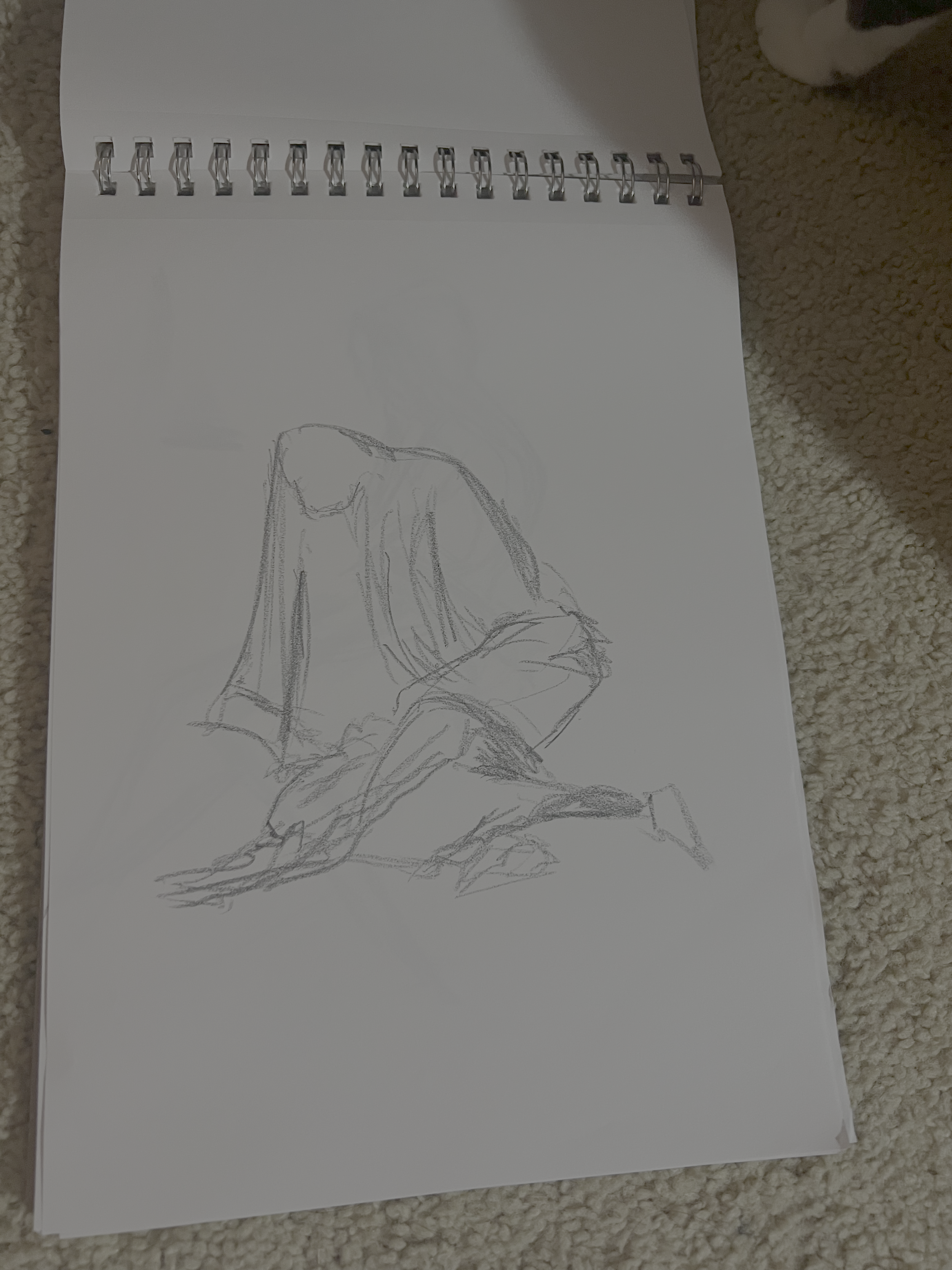 IMG_3901.png