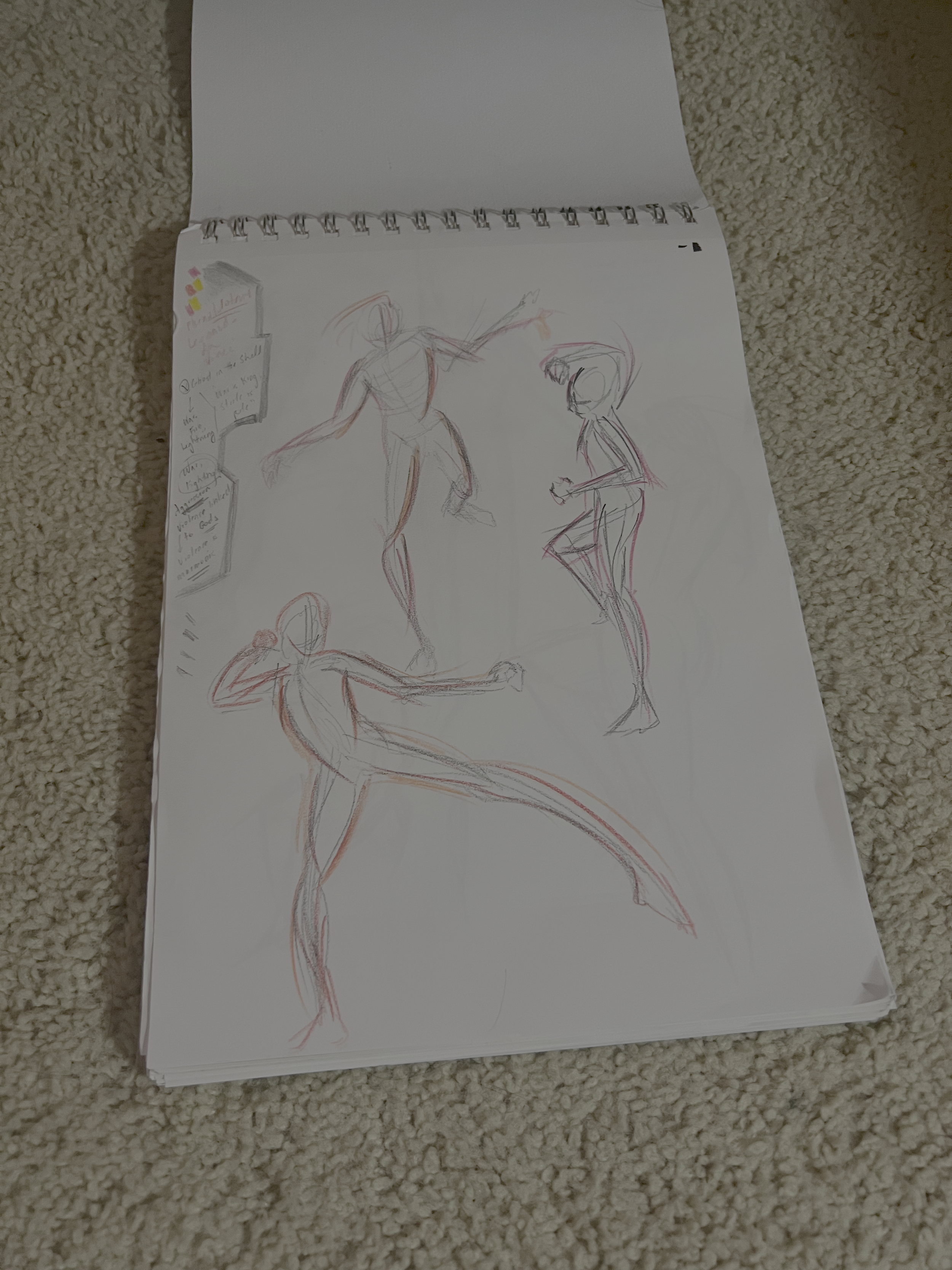 IMG_3881.png