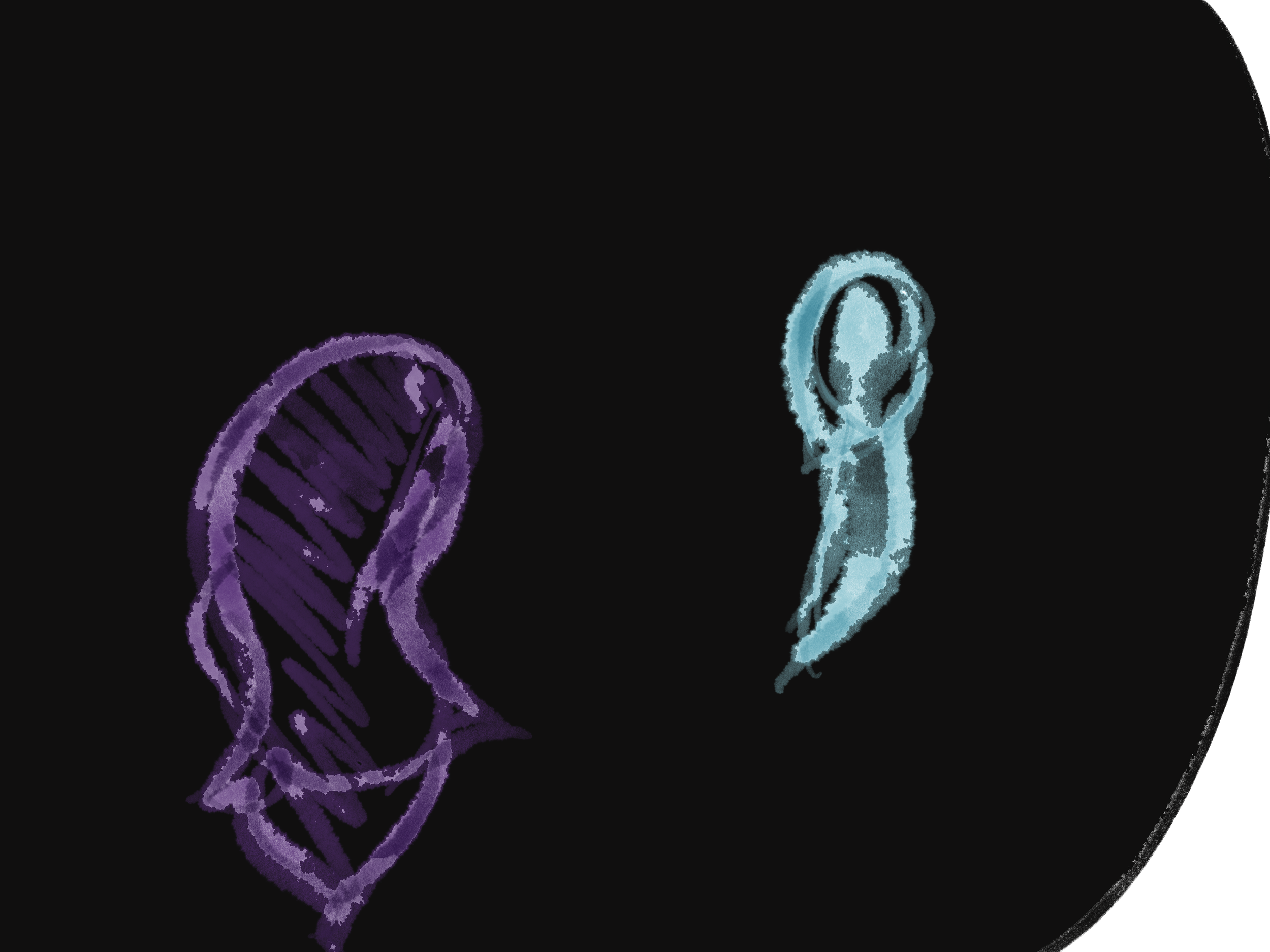 Untitled_Artwork 27.png