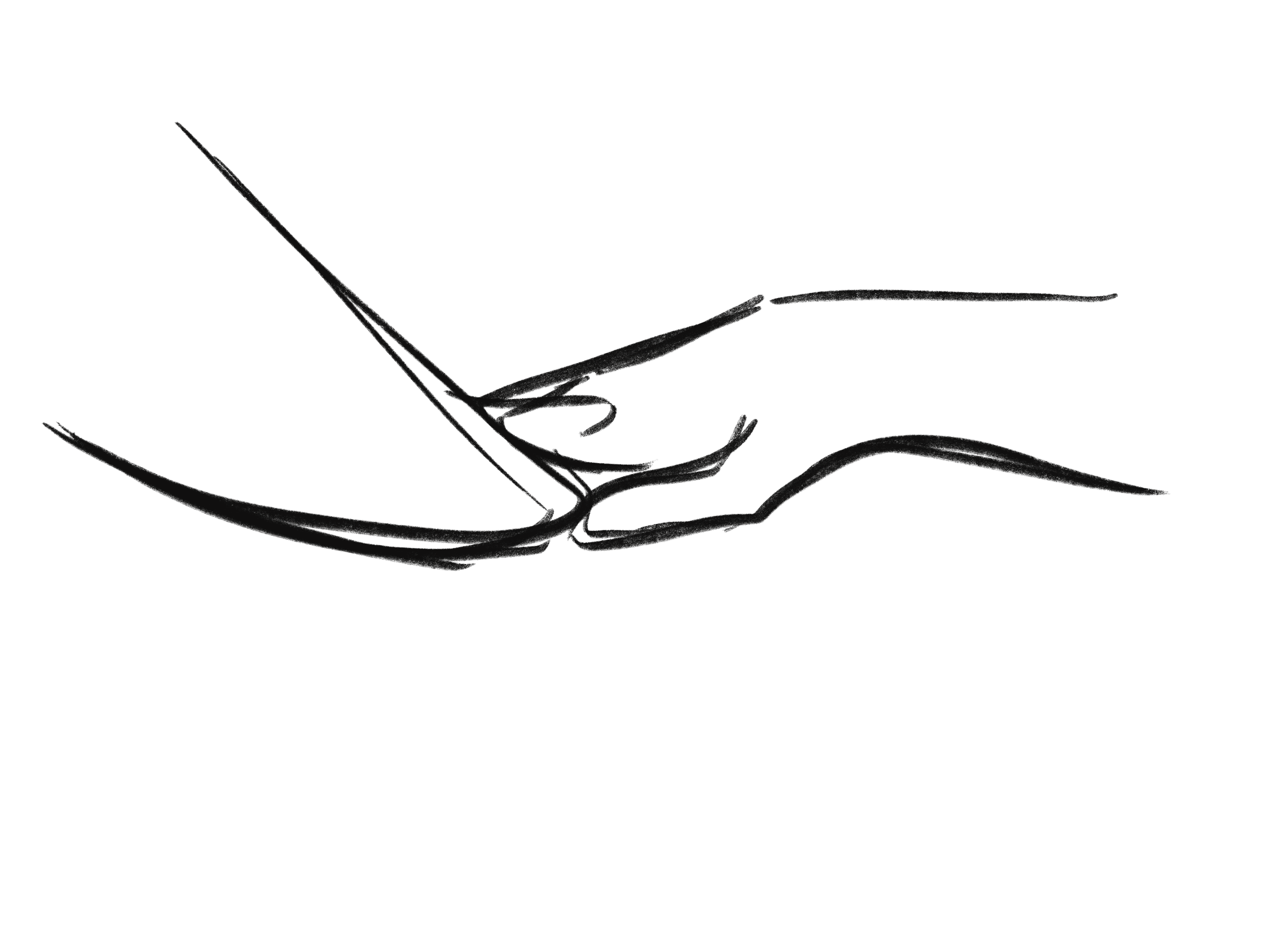 Untitled_Artwork 35.png