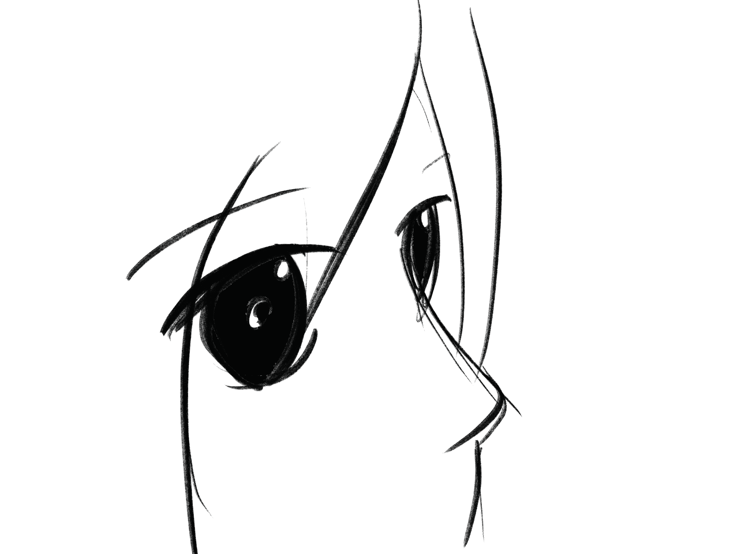 Untitled_Artwork 63.png