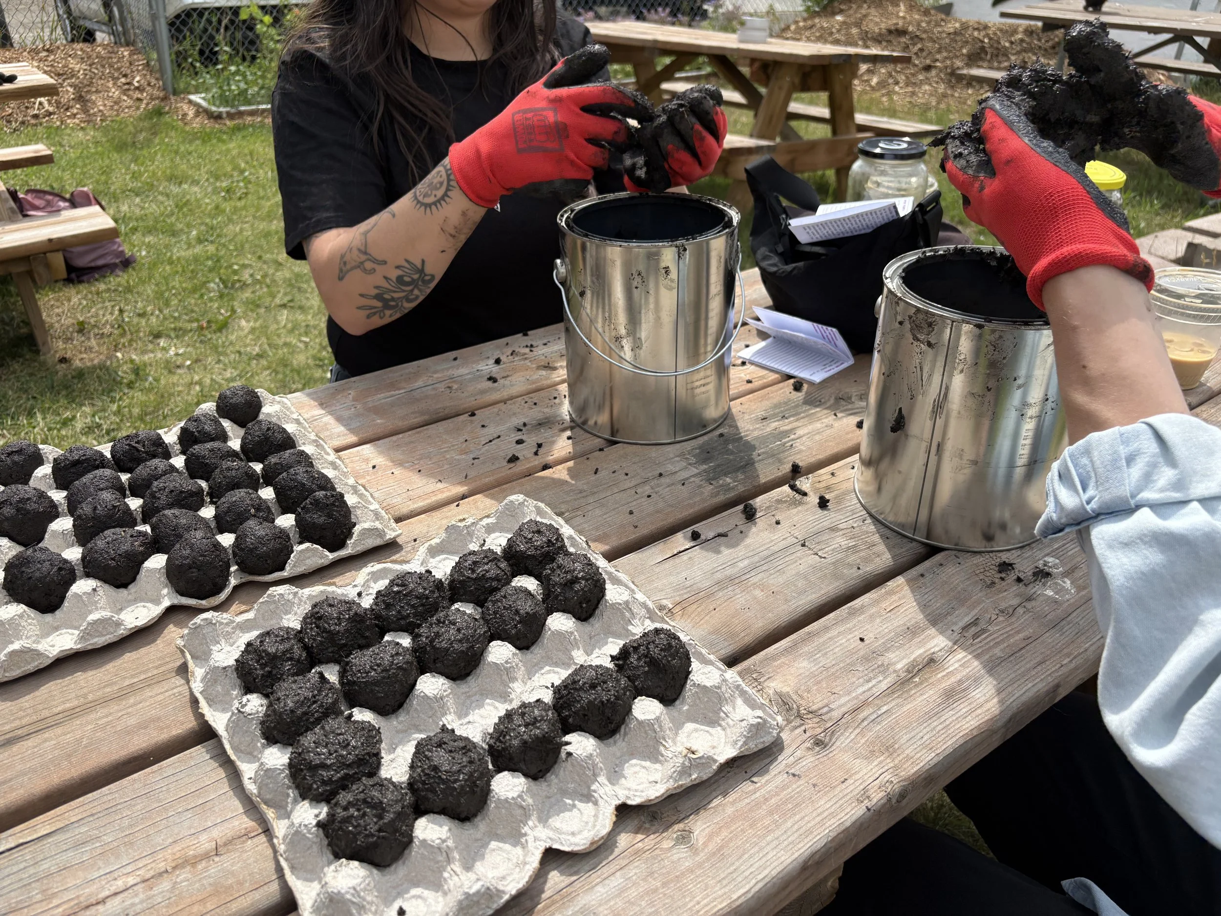 IMG_4788July262025-Paula Kirman.jpeg