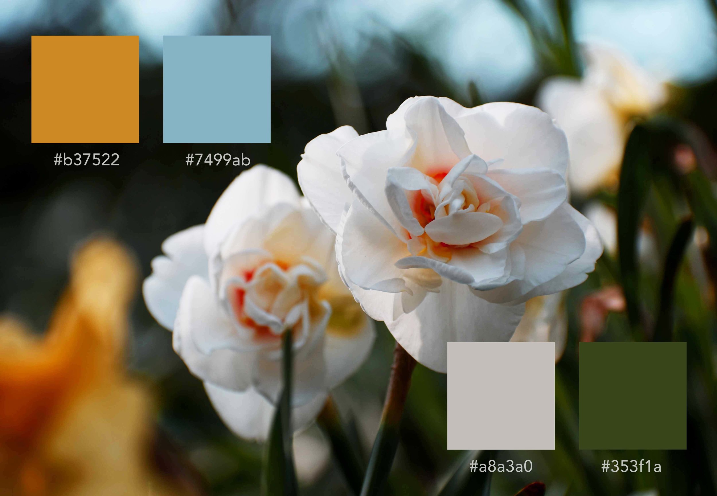 flowa_colortheory.jpg