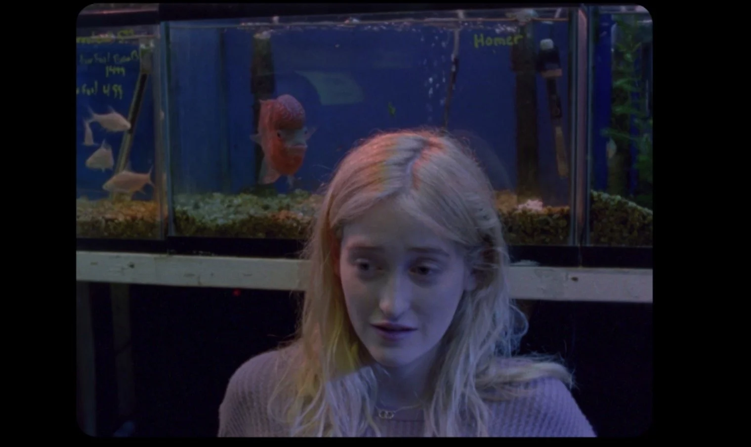 Theodore Schaefer’s Giving Birth to a Butterfly delivers a compelling, sensitive suburban nightmare