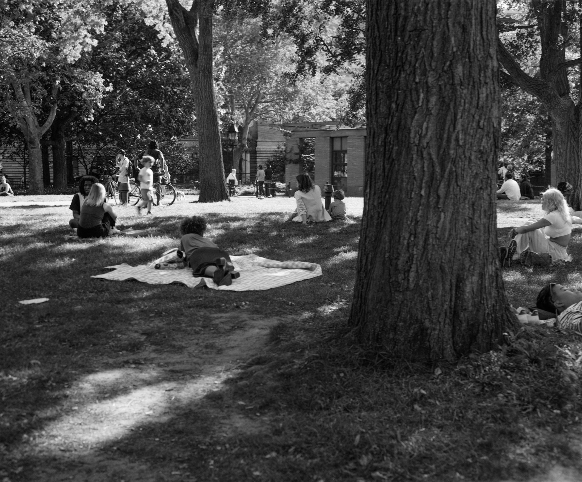 Scan017.jpg