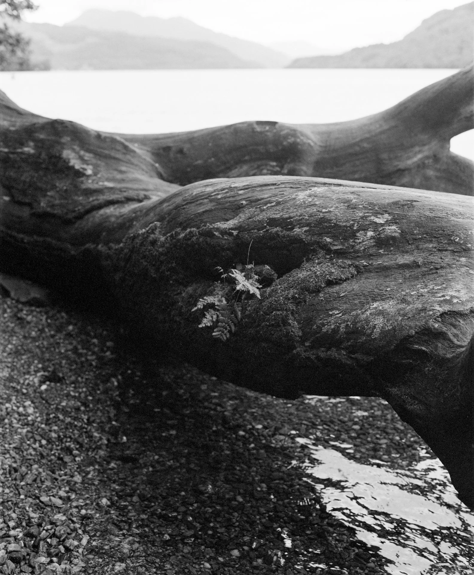 lochlomondmatteocrawford5.jpg
