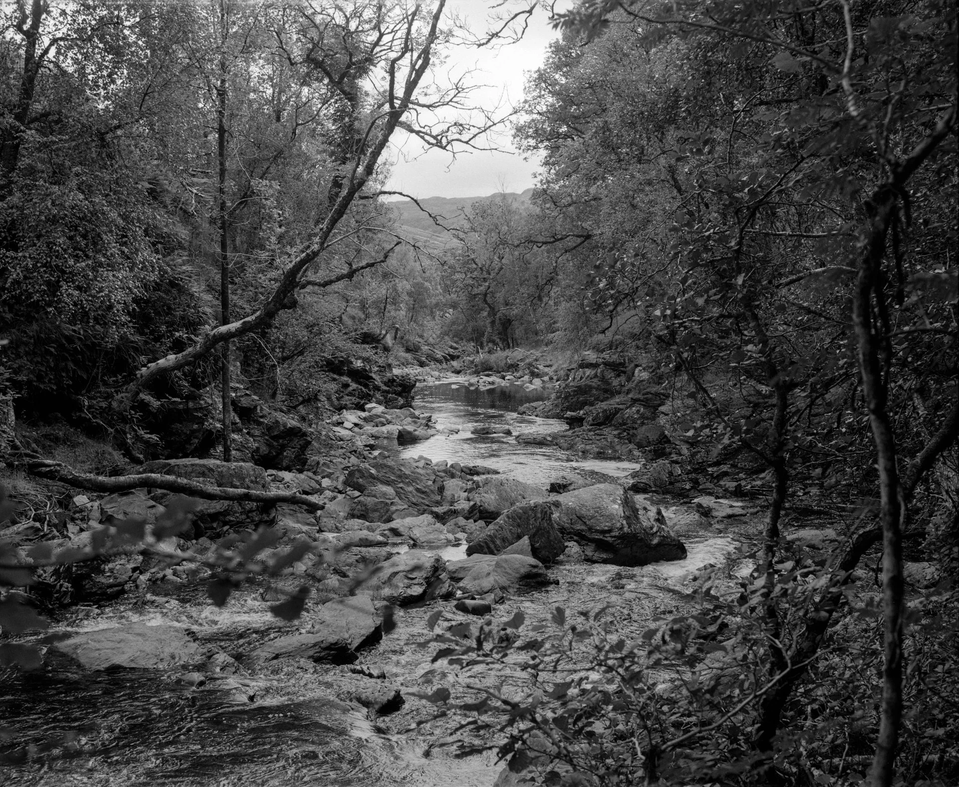 lochlomondmatteocrawford37.jpg