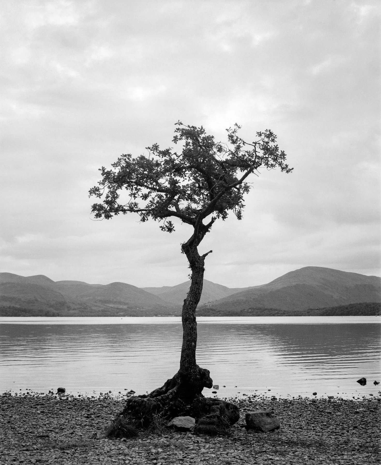 lochlomondmatteocrawford21.jpg