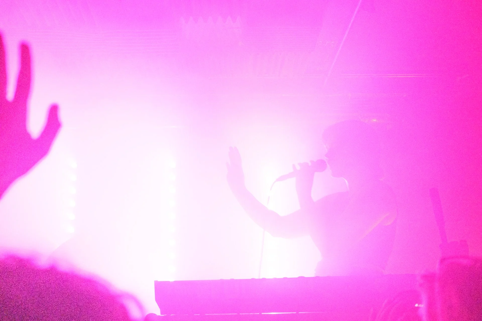 DSCF0804.jpg