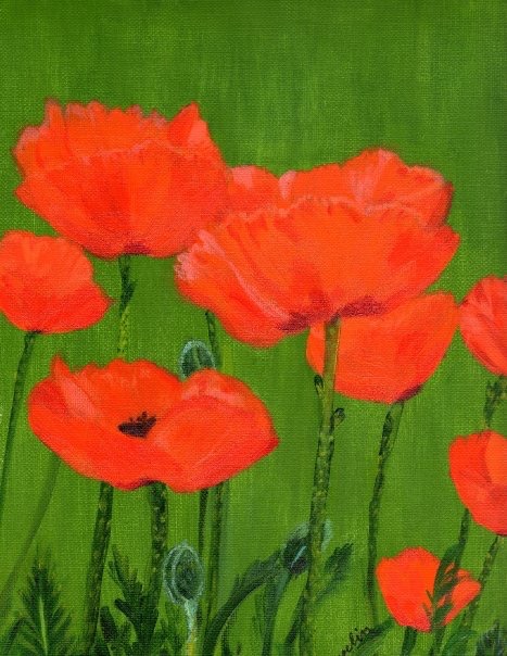 “Poppies”,  16” x 20” acrylic on canvas