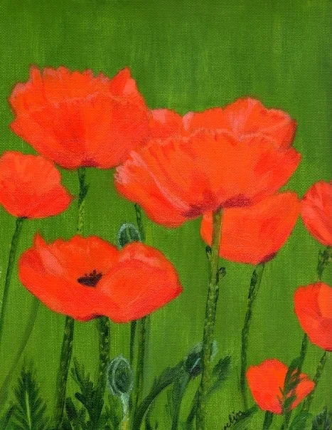 “Poppies”, 16” x 20” acrylic on canvas