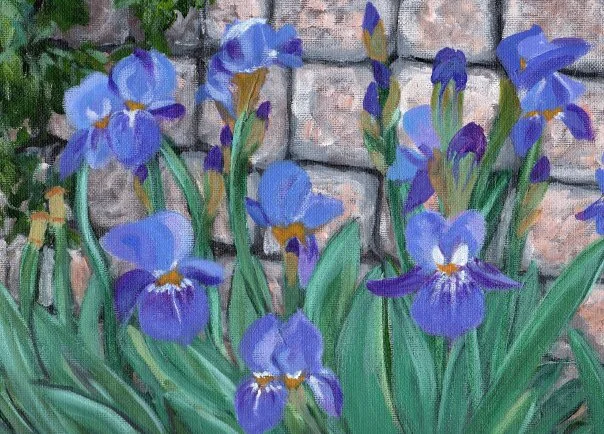 “Irises” Sold