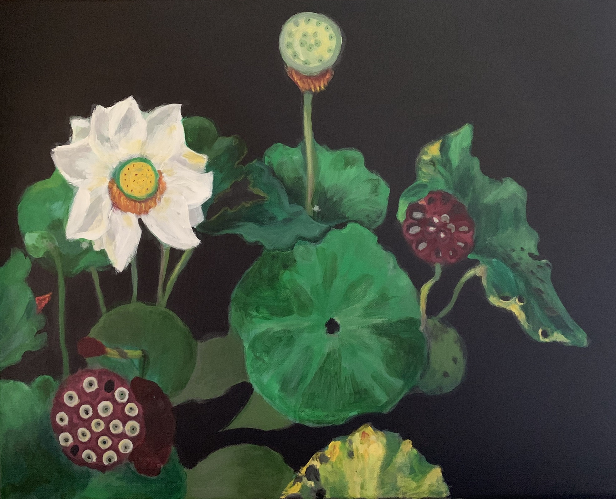 “Lotus life cycle” 16” x 20” acrylic on stretched canvas