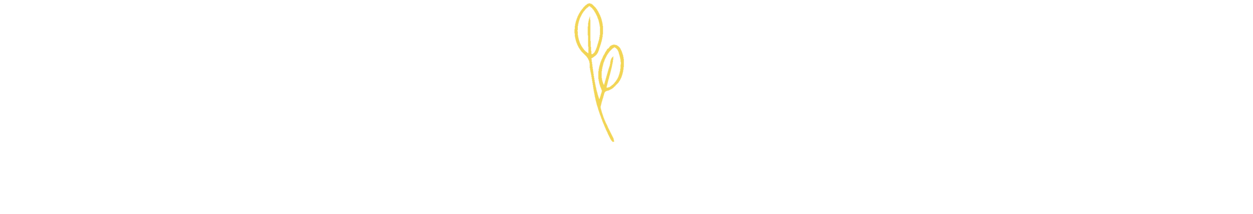 PE-Logo-white.png