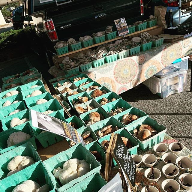 View from the #chapelhillfarmersmarket last saturday. Thank you Emily from @heartsongfarmnc for catching the scene!