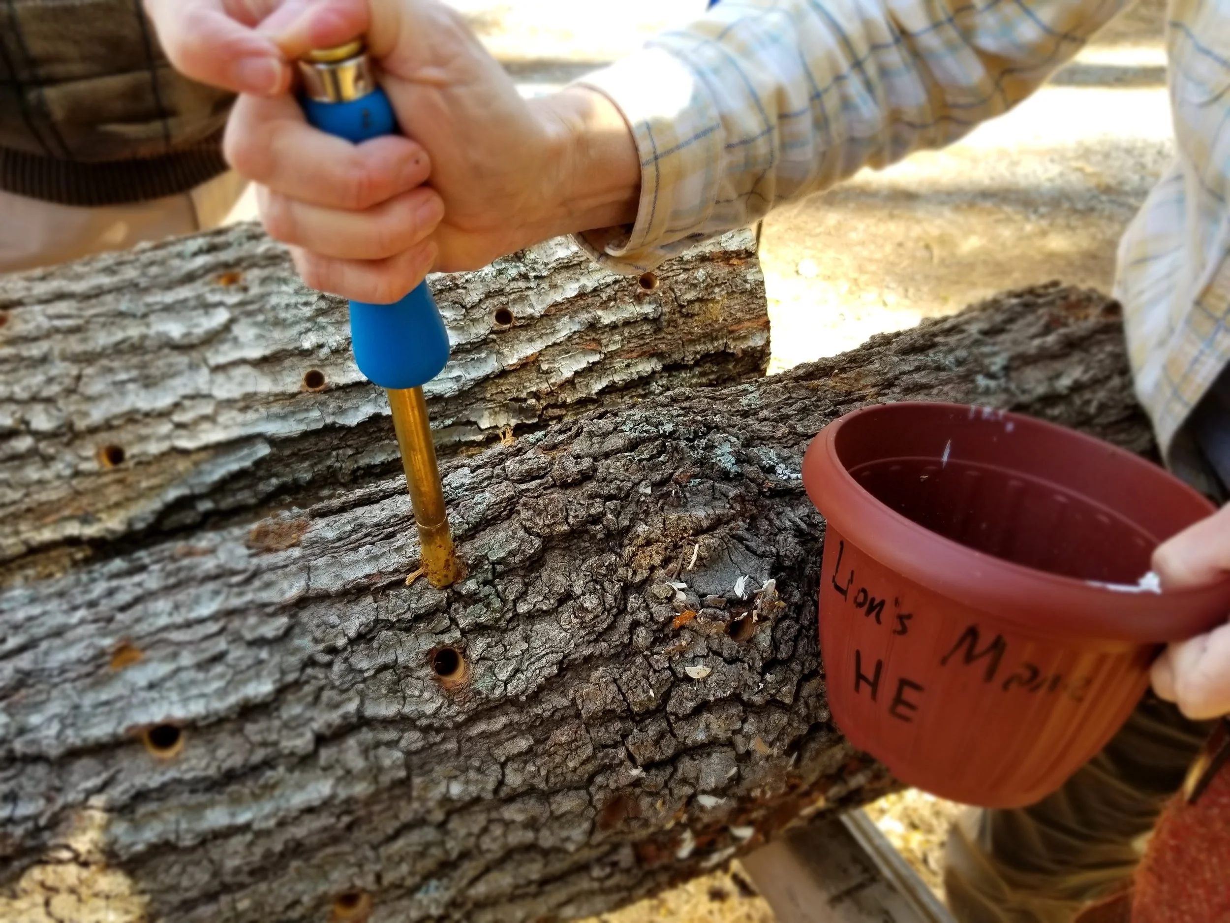 20180331_153432.jpg
