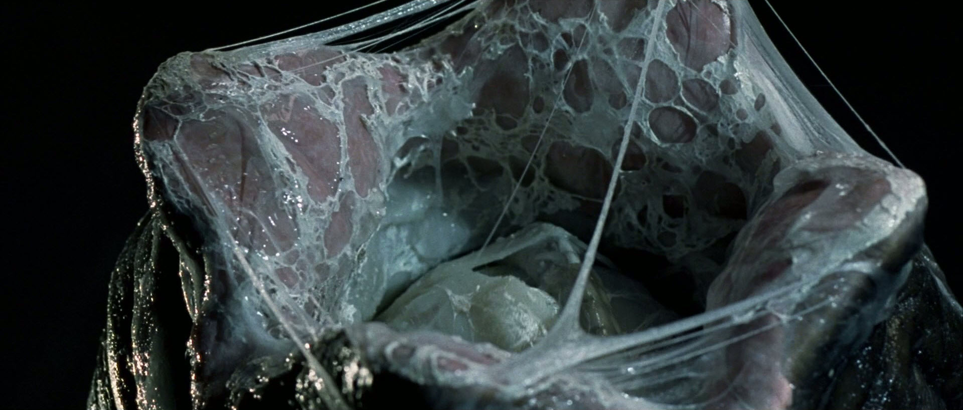 11. Film still from Alien Scott, Ridley, director. Alien . 1979.