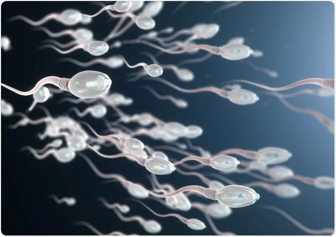 What is Male Infertility, Testing, &amp; Possible Causes (Part 1)