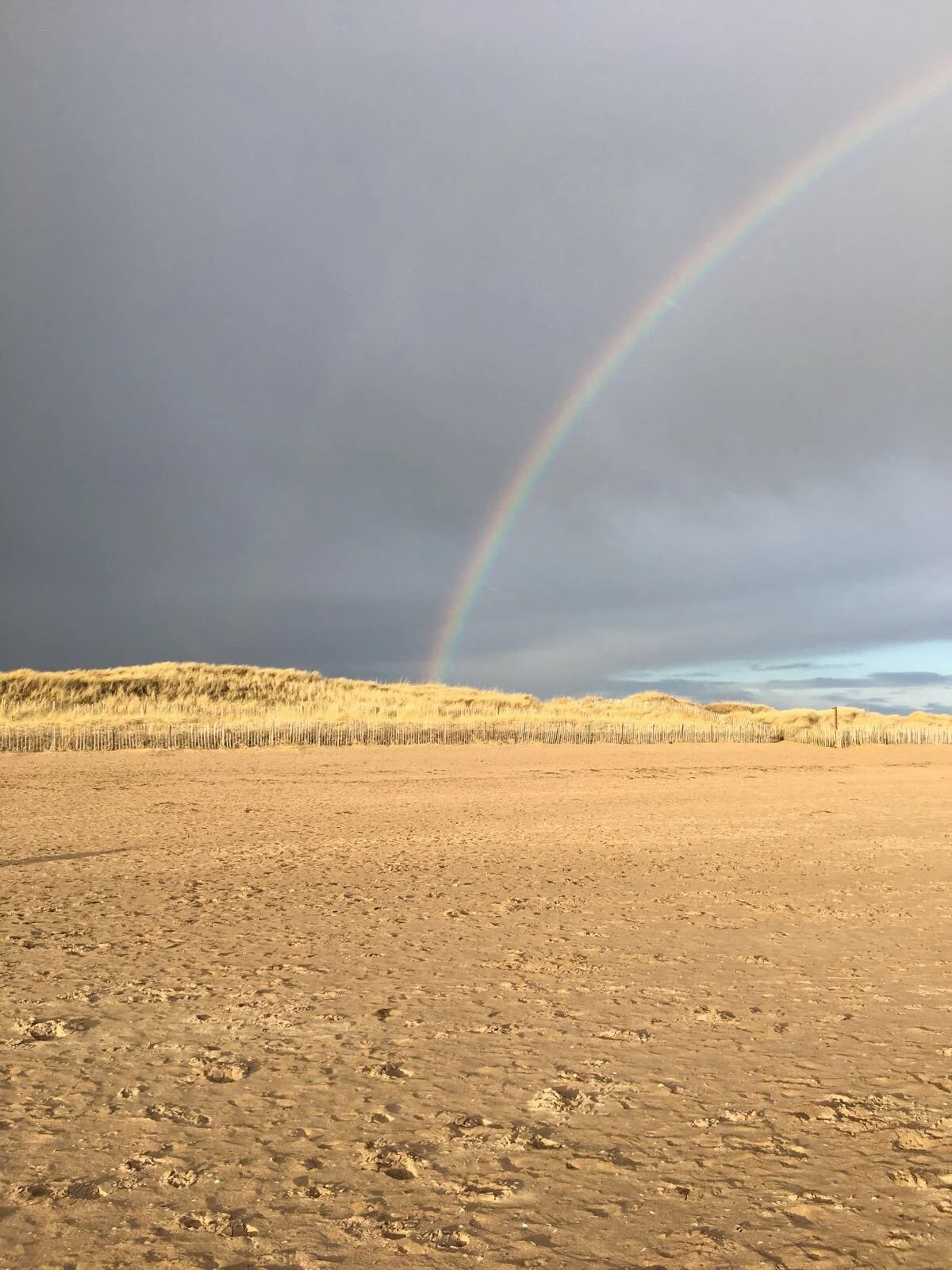 Psychotherapist, Counsellor, East London