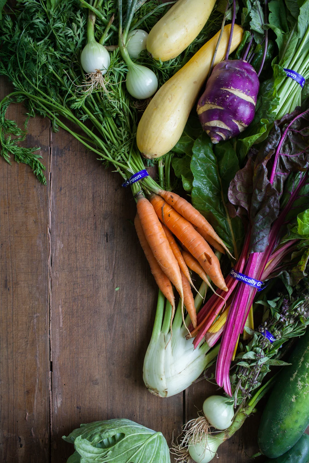 Photo and Header Photo by Ali Harper Photography