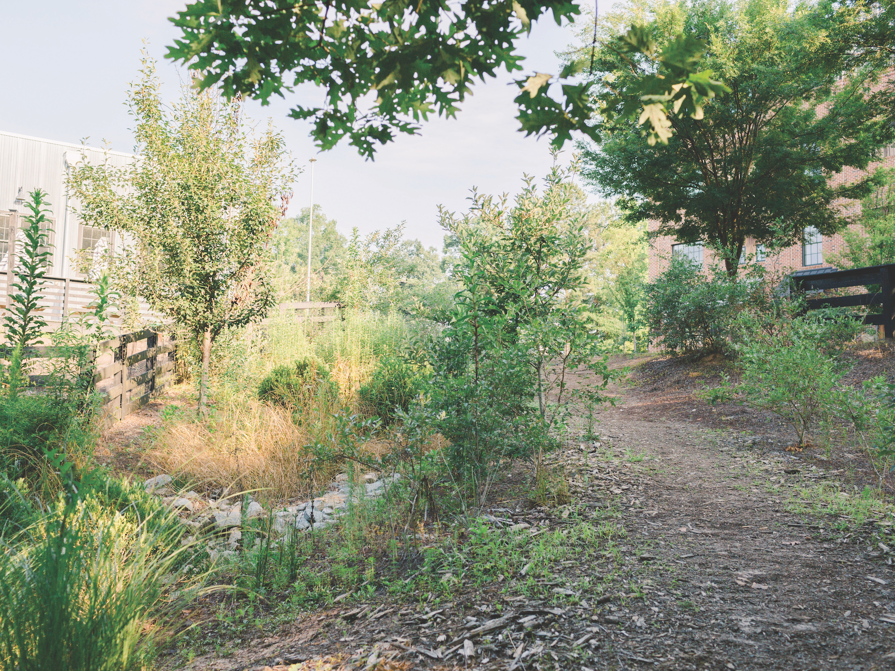 biophilic.jpg