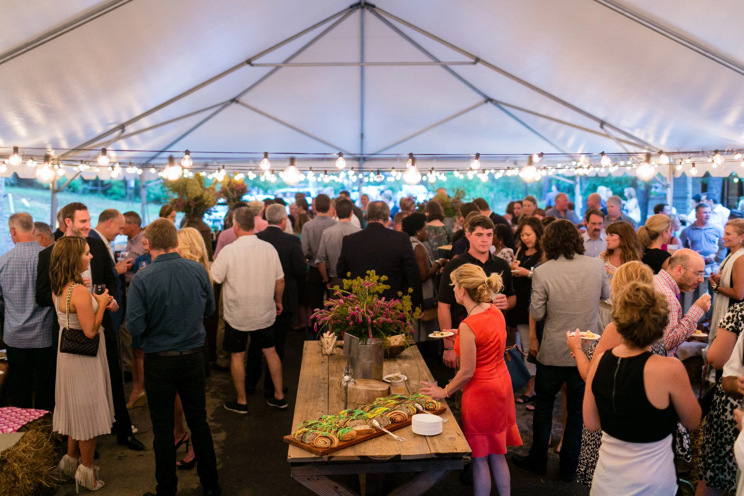 Preview Party for the 2015 Showhouse. Photo by J. Ashley Photography .