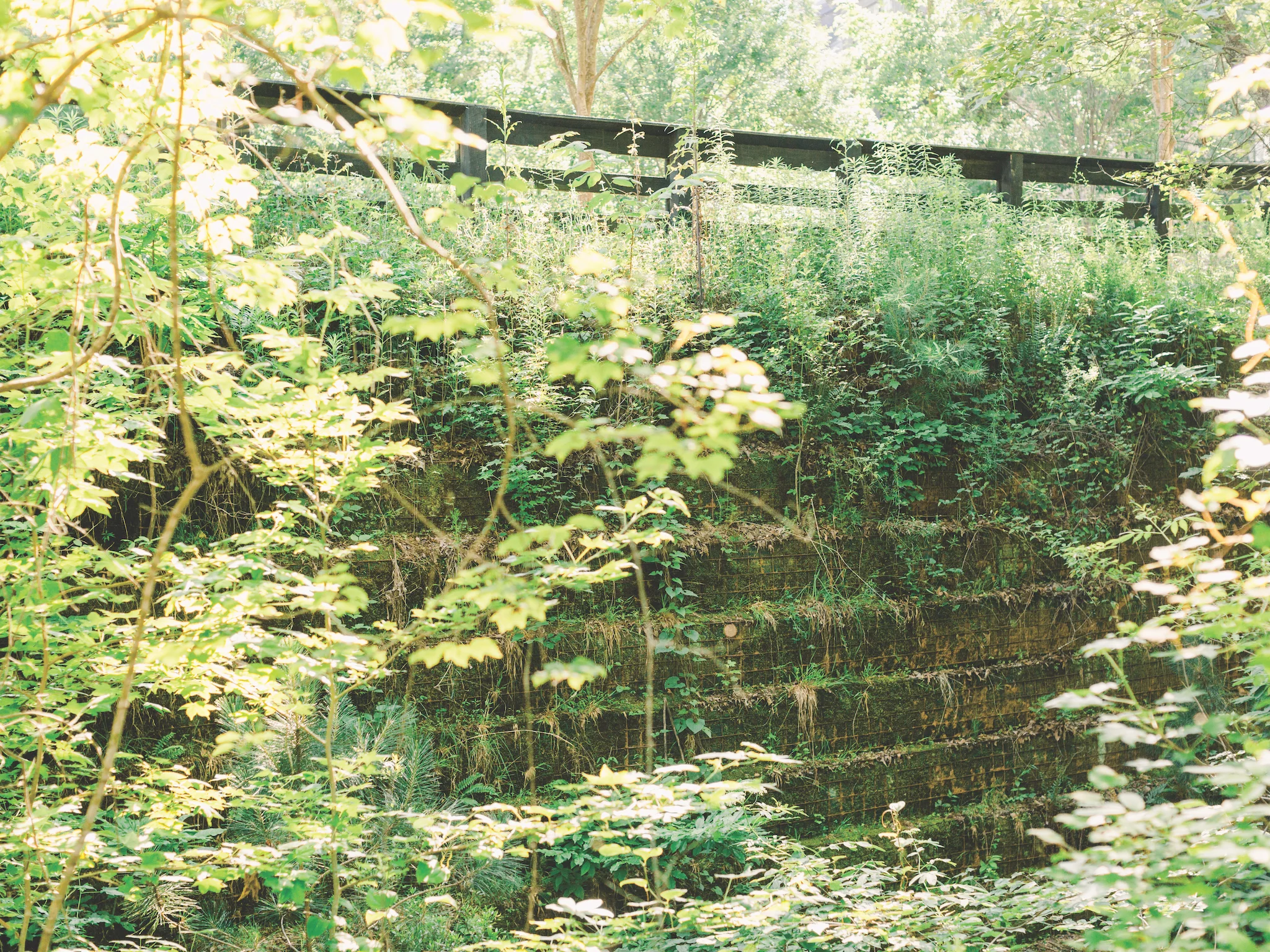 gabionbridge_DW7A1152lowres.jpg