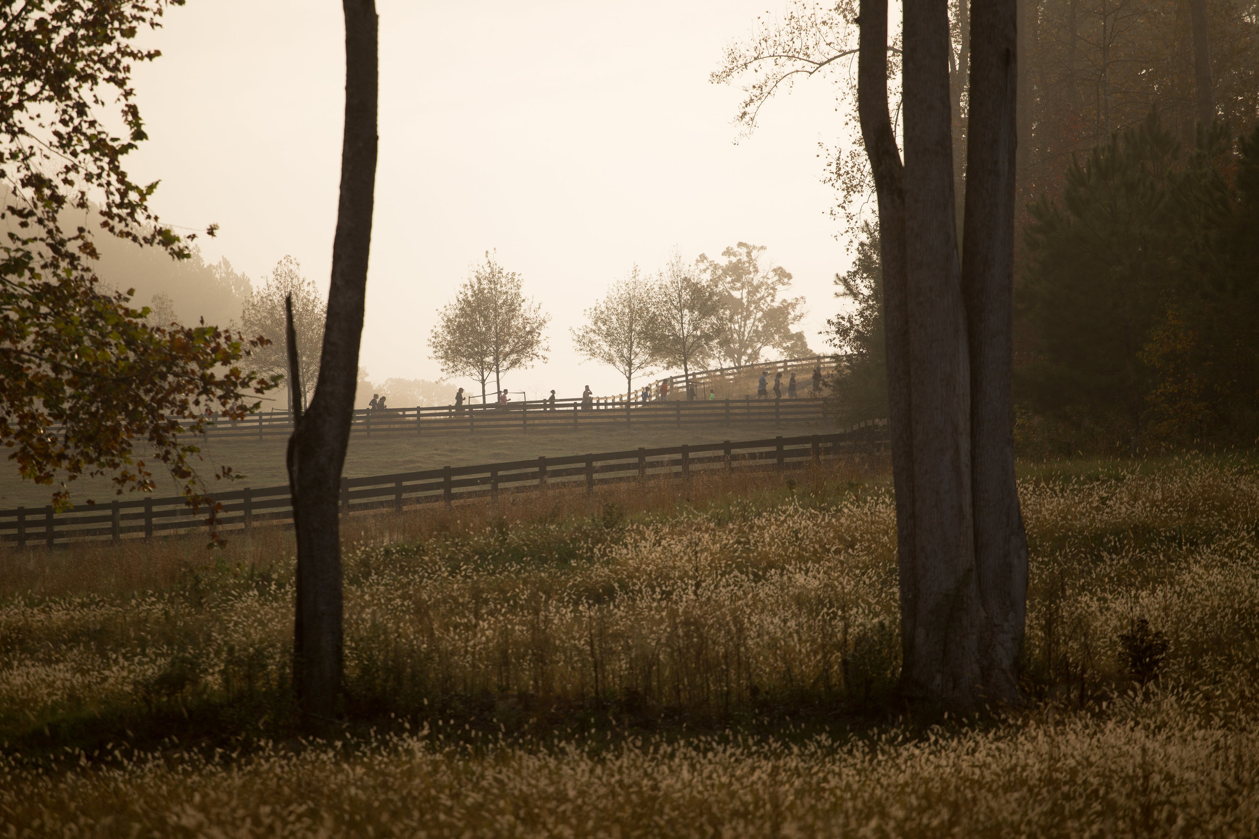 TR.Fall17.GroupTrail3.jpg