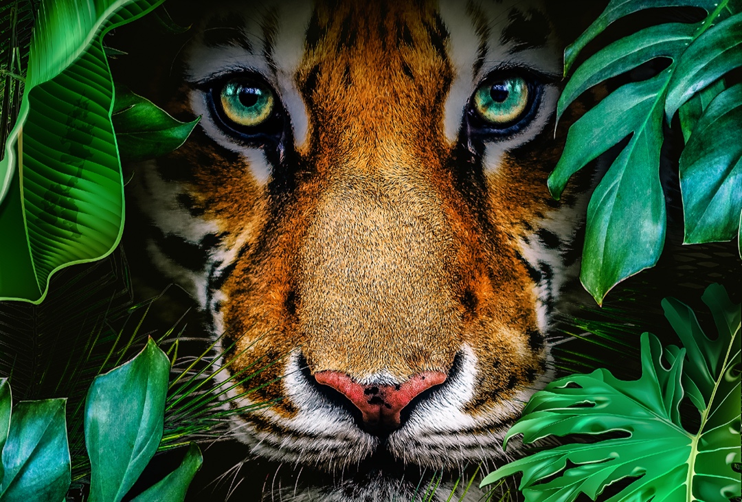 19_SP_JungleBook_SocialPoster_v1.jpg