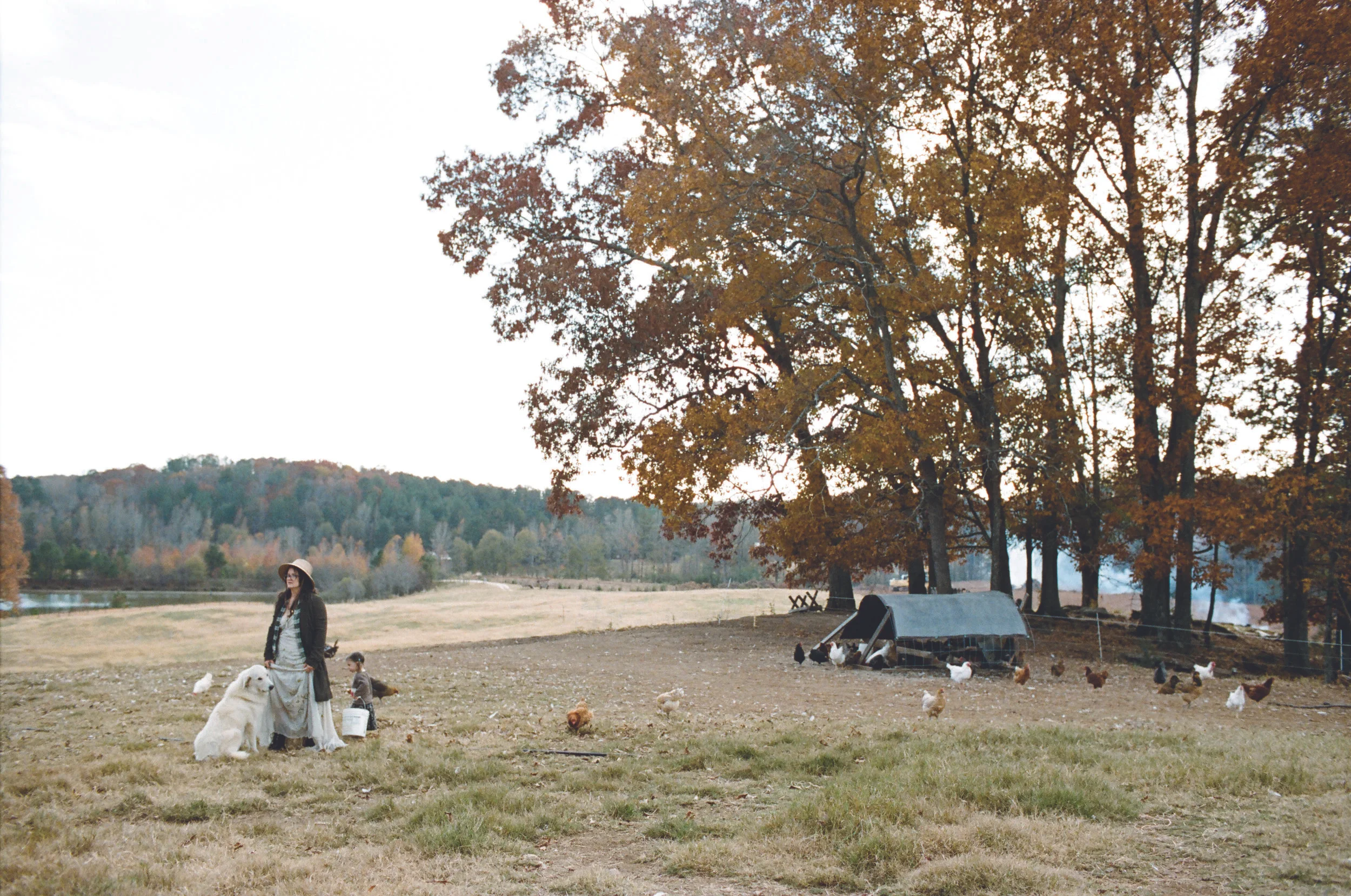 Header Photo.jpg