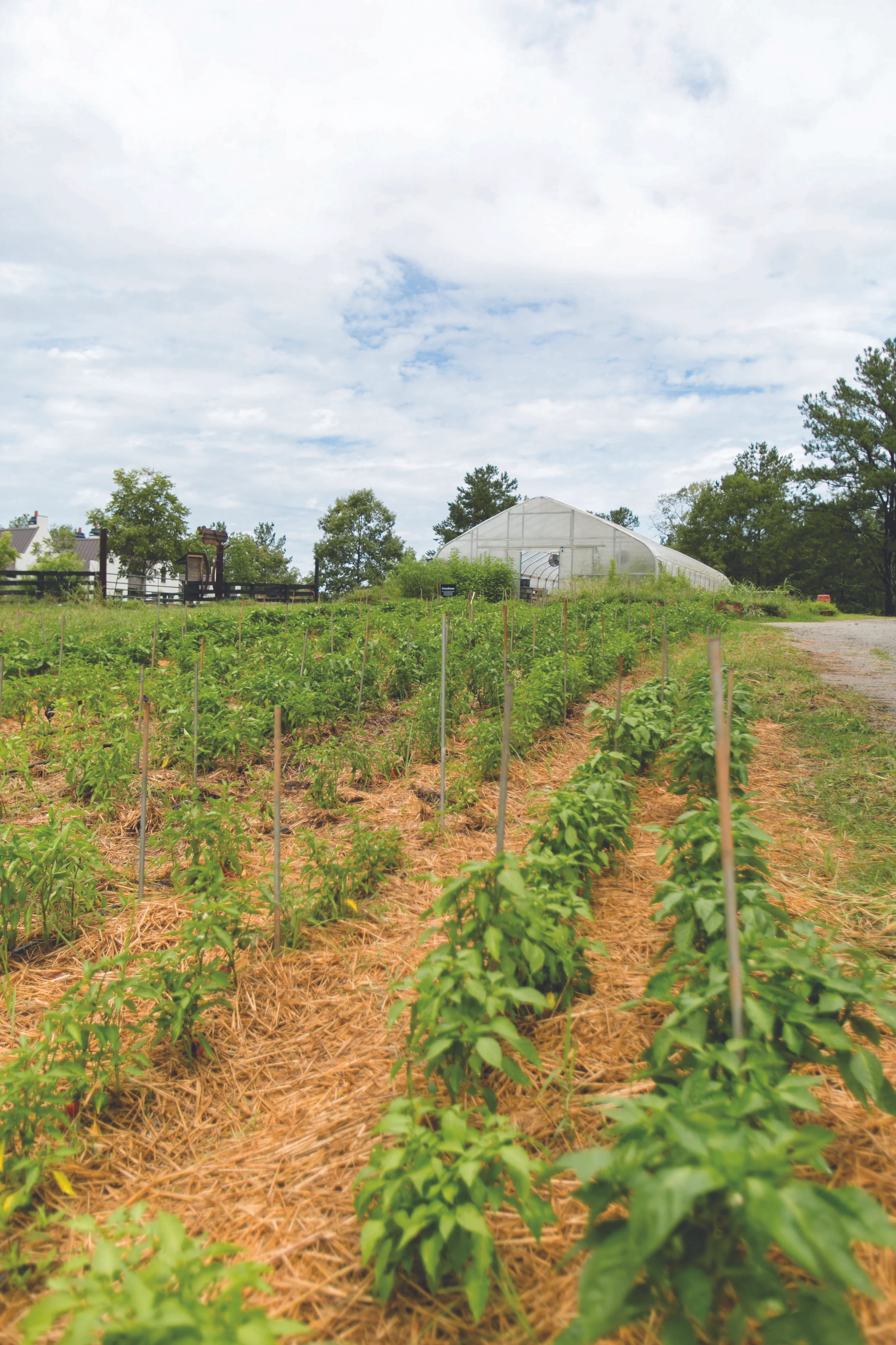 View of the greenhouse at Serenbe Farms. J. Ashley Photography .