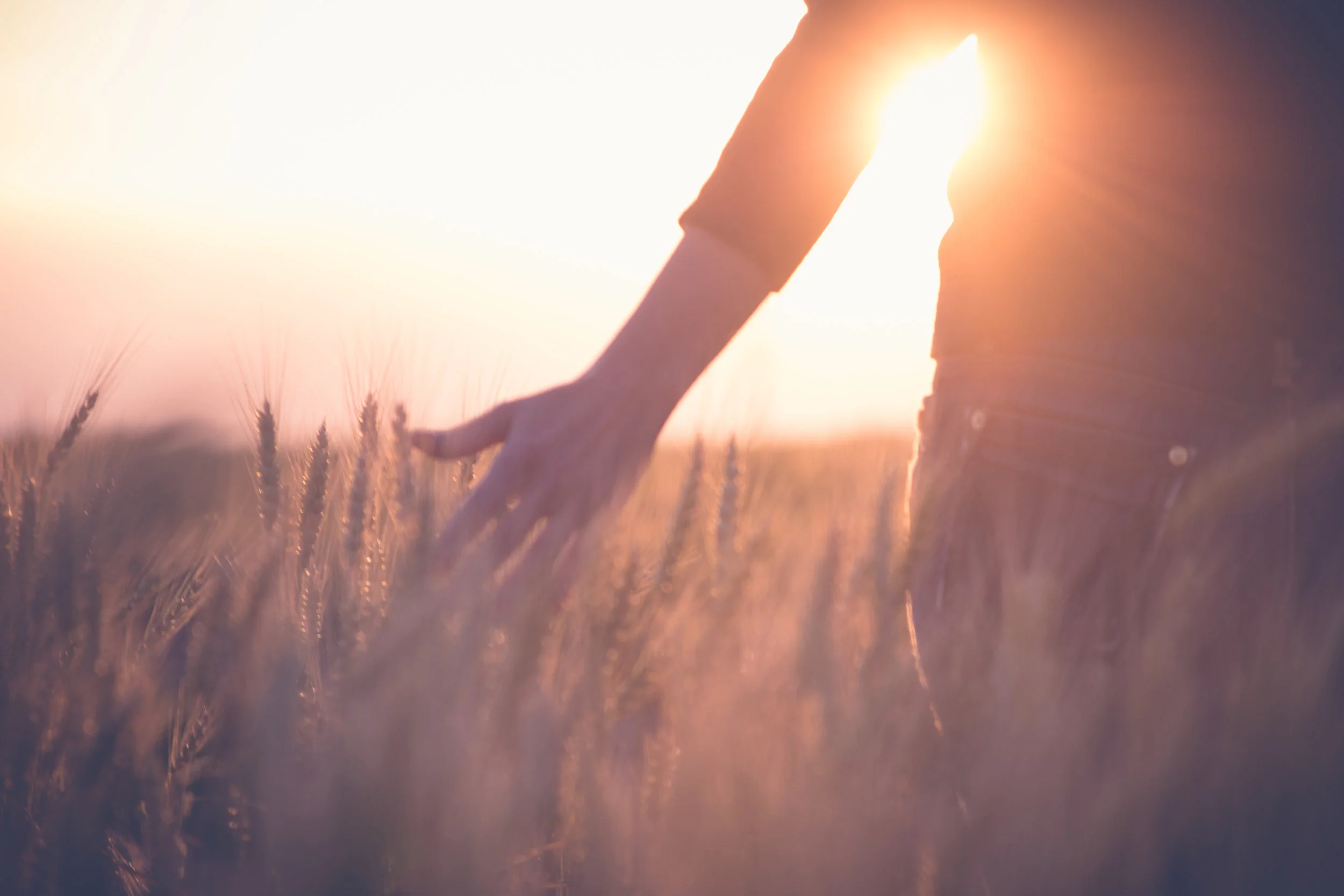 AdobeStock_115336460.jpeg