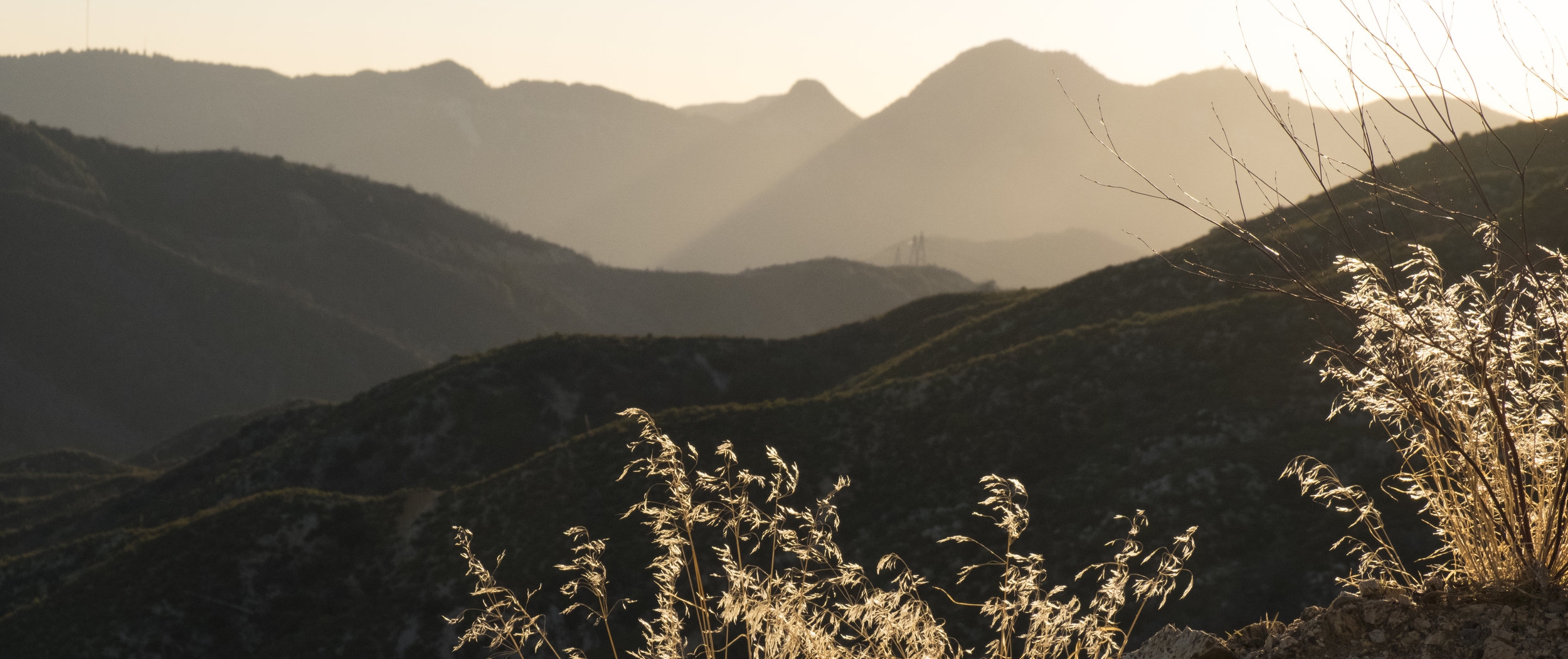 AdobeStock_216223476.jpeg
