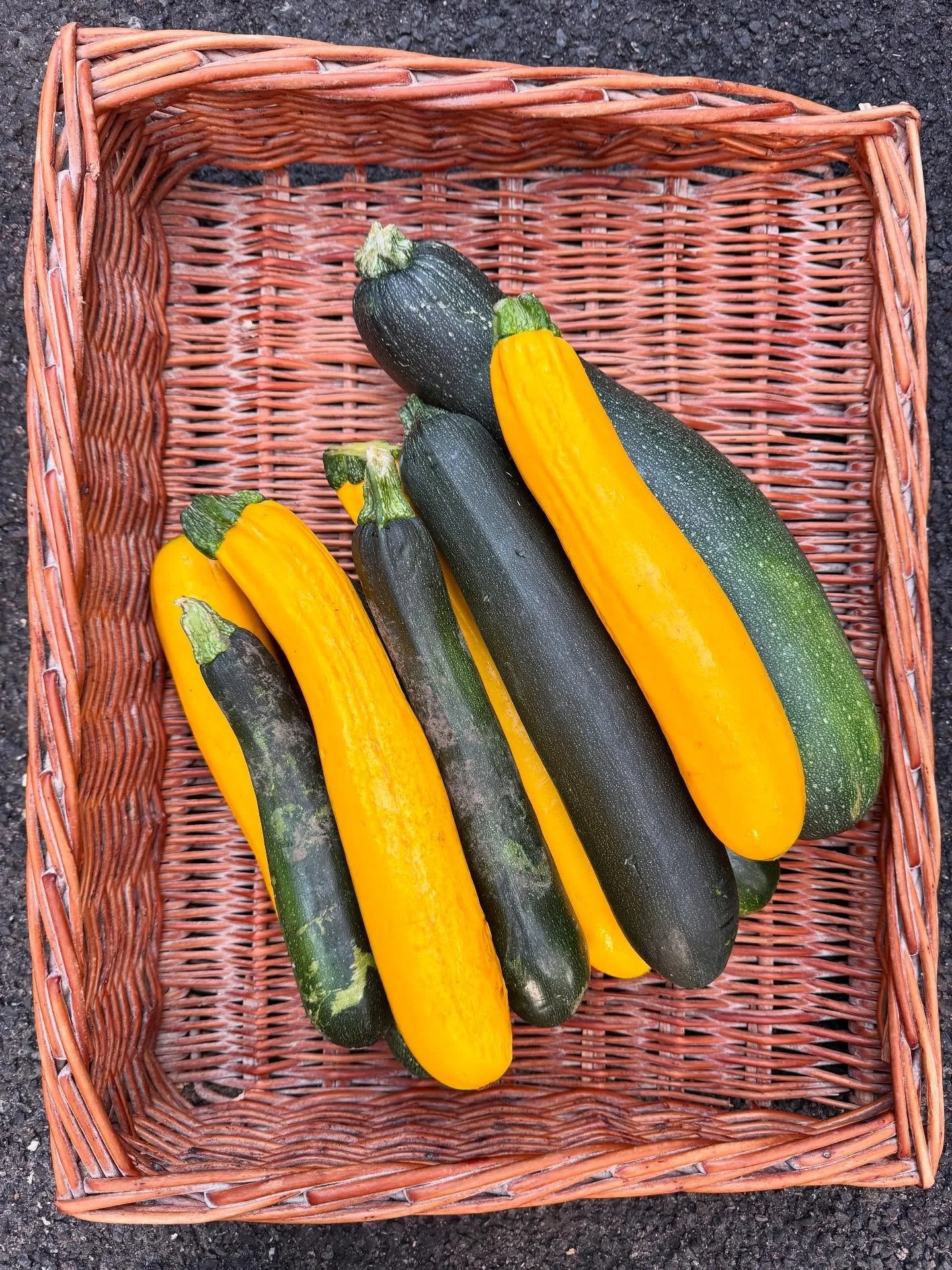 Produce highlight of the week!

Green and yellow courgettes bring both color and subtle variation in flavor to our Mackerel starter. Green ones with their slightly earthy bite, and yellow with a milder, sweeter note. We&rsquo;re lucky to have them de