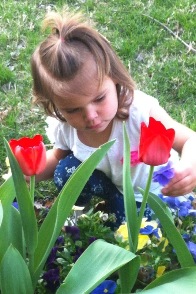 Owasso's Premier Landscaping Company — Green Country Landscapes