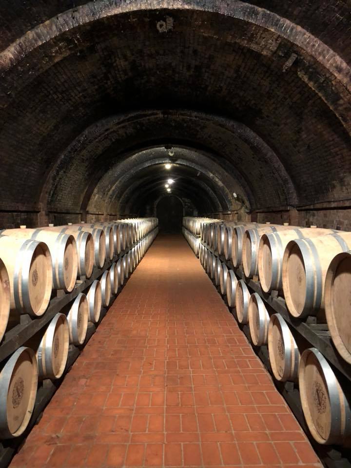 barrel room Avignonesi.jpg