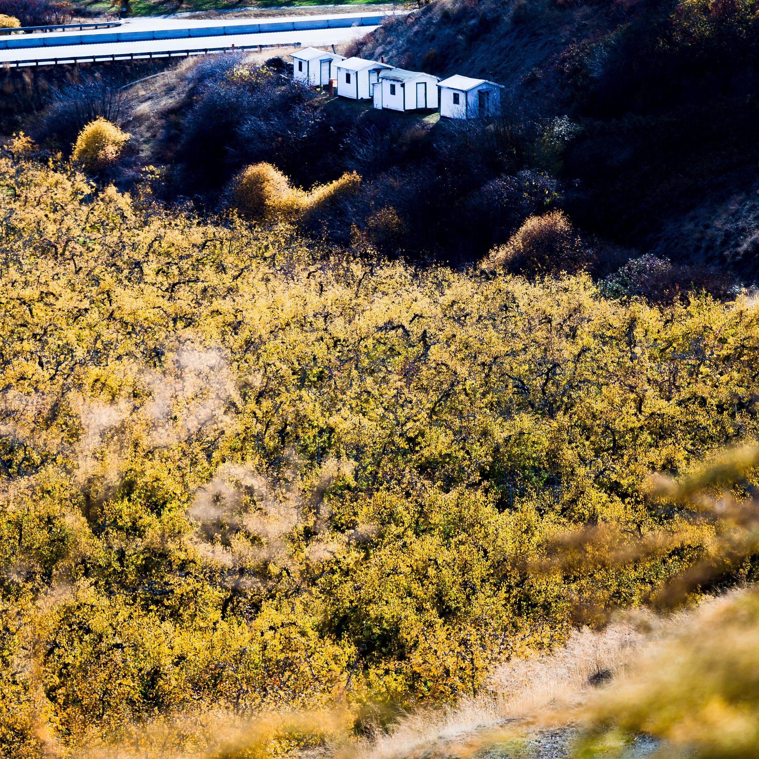 _MG_9876.jpg